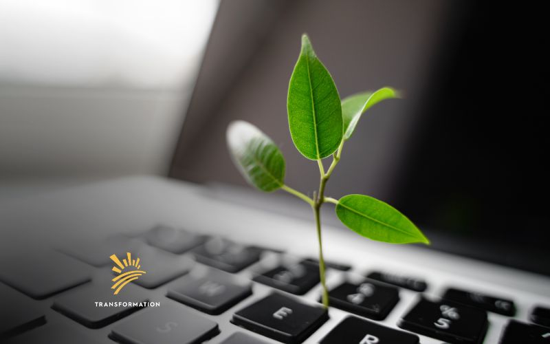 plant growing out of a keyboard for green tech concept