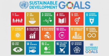 Sustainable development goals