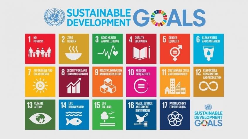Sustainable development goals