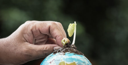 impact investing vs sustainable investing
