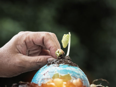 impact investing vs sustainable investing