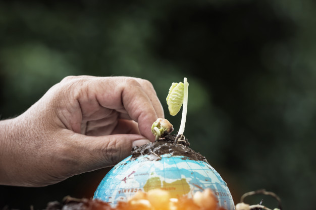 impact investing vs sustainable investing