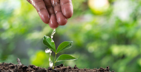 Sustainable Impact: Investing in New Life