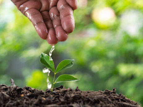 Sustainable Impact: Investing in New Life