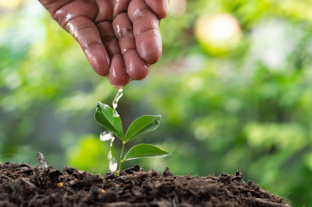 Sustainable Impact: Investing in New Life