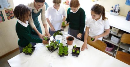 education in impact investing