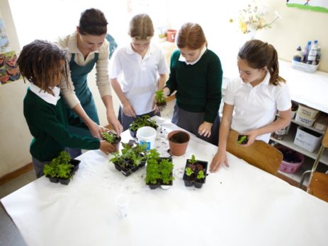 education in impact investing