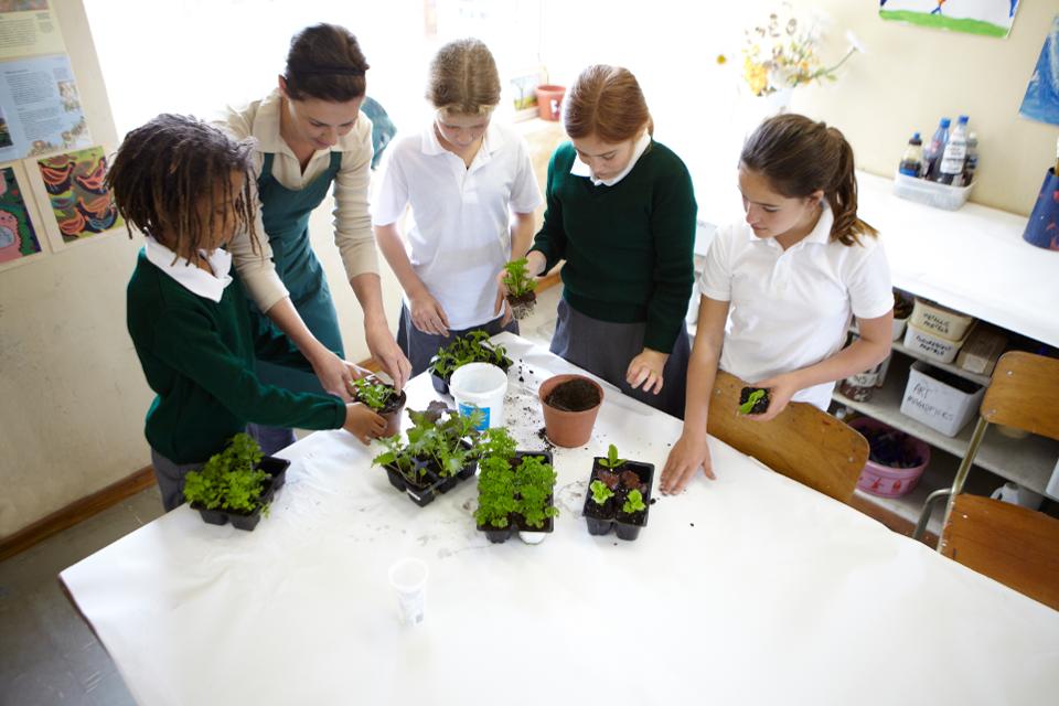 education in impact investing