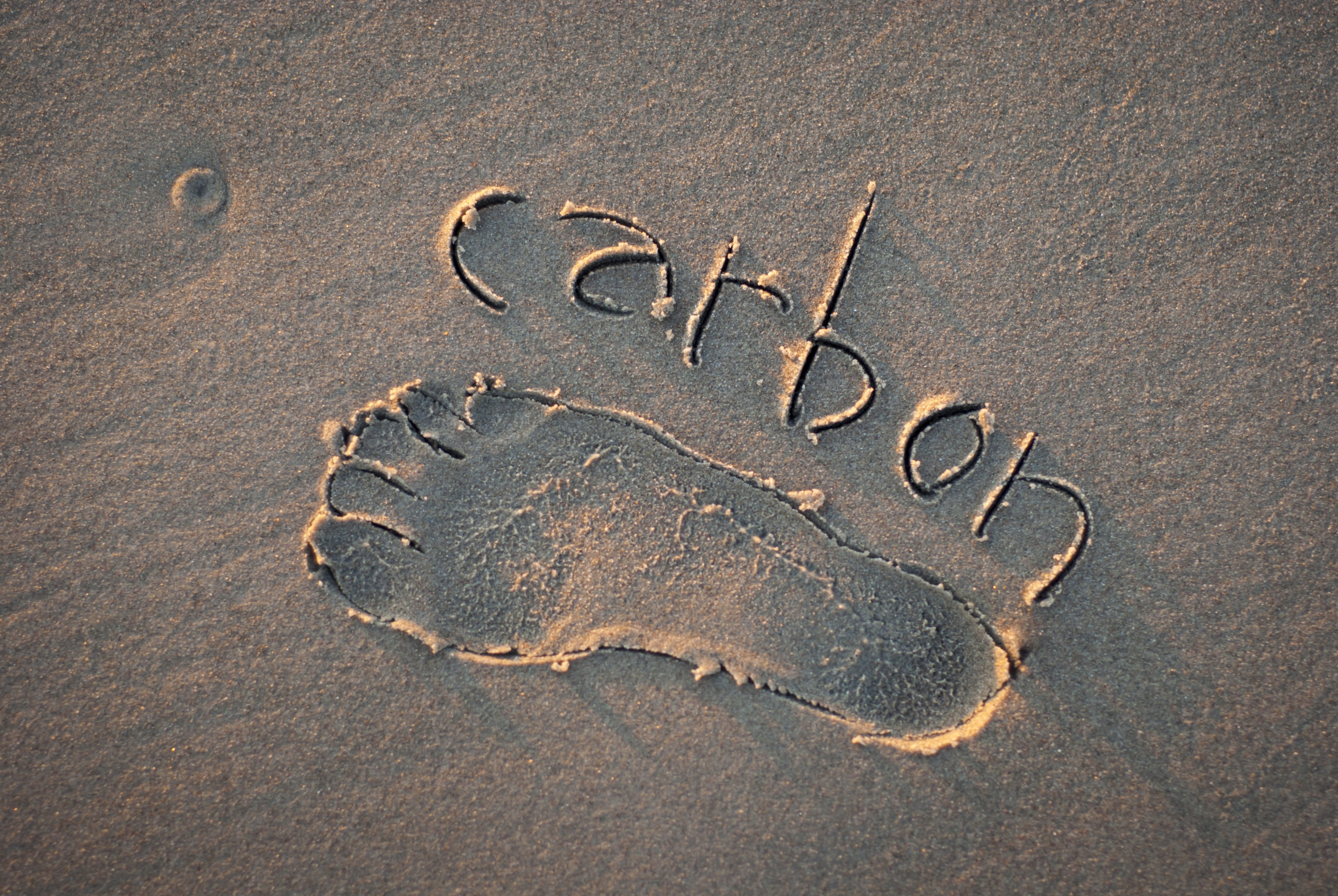 Eco-friendly carbon footprint message handwritten with the outline of a foot on a grainy golden sand beach