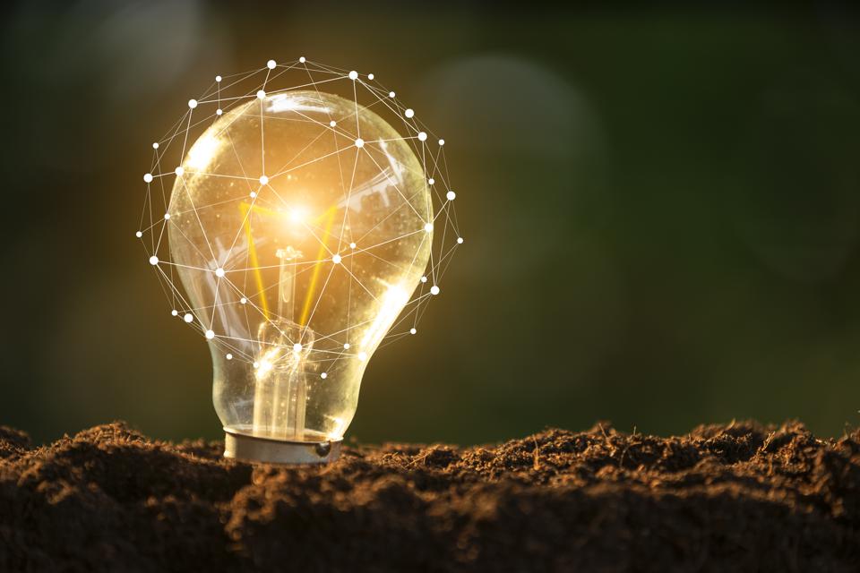 Light bulb glowing in soil as idea or energy concept | Forbes