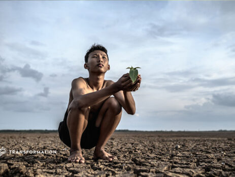climate change, dirt, a person holding a plant | Transformation Holdings