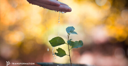 hand watering plants | TransformationHoldings