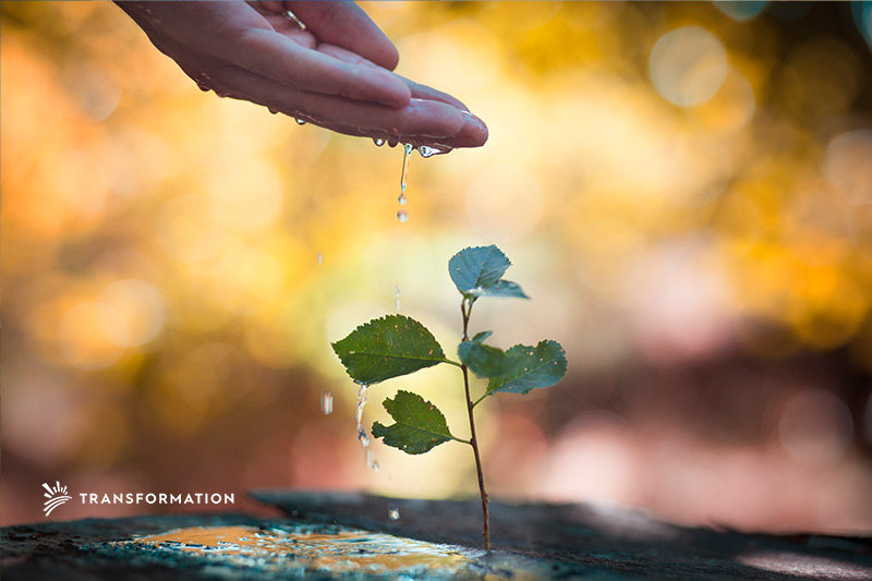 hand watering plants | TransformationHoldings