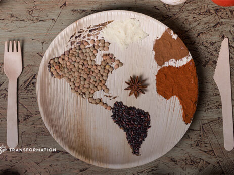 Regenerative Food