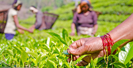 Food Sovereignty