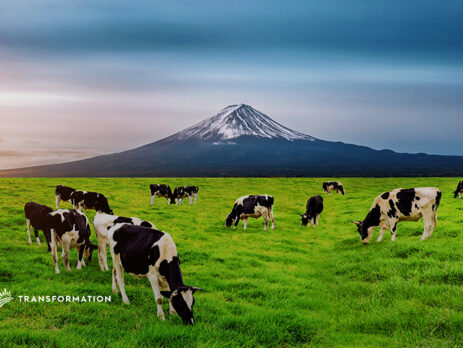 Future of Animal Agriculture | TransformationHolding.com