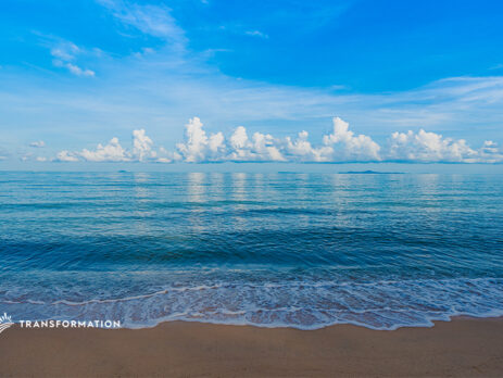 future of our oceans | Transformation Holdings
