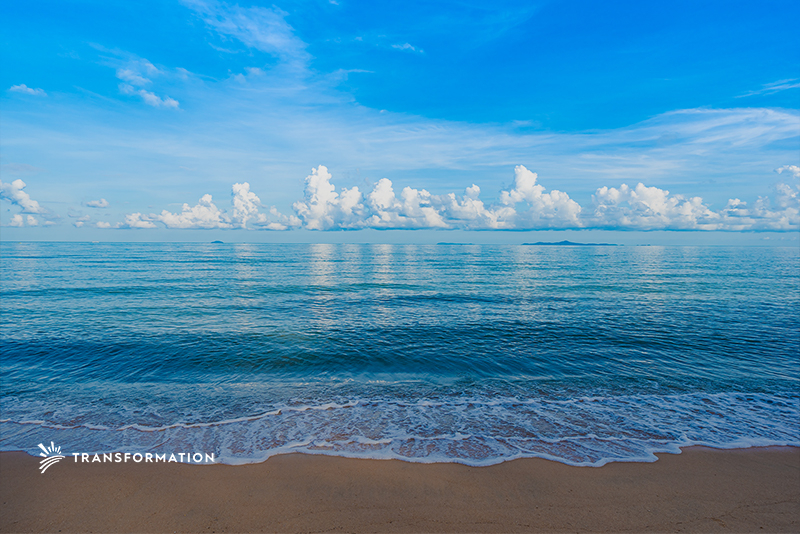 future of our oceans | Transformation Holdings
