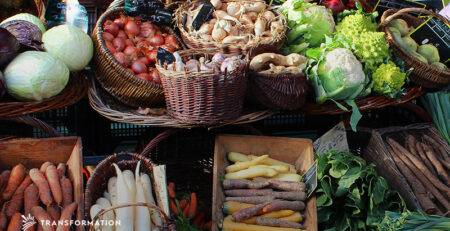 Food Hubs: Local Market Investments | Transformation Holdings
