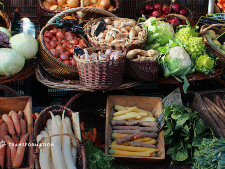 Food Hubs: Local Market Investments | Transformation Holdings