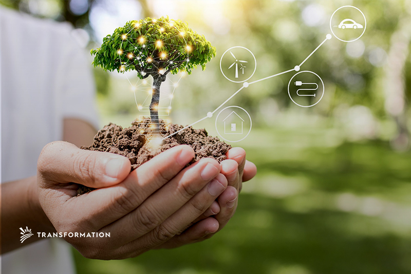 What is regenerative organic agriculture? | TransformationHoldings.com
