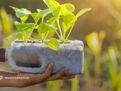 waste management concept, planting vegetables in plastic bottle