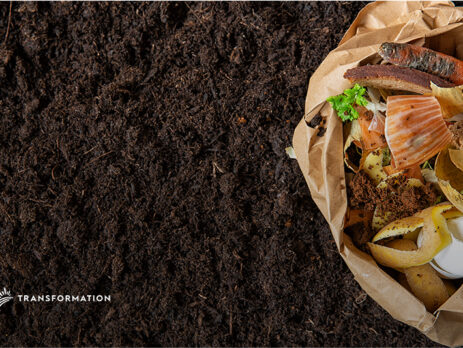 Reducing Food Waste