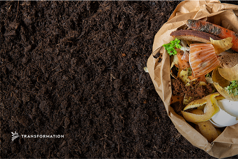 Reducing Food Waste