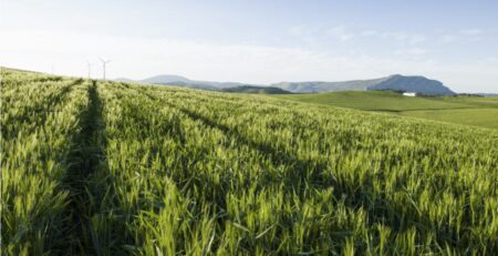 Agricultural landscape in Ardales, Malaga, Spain