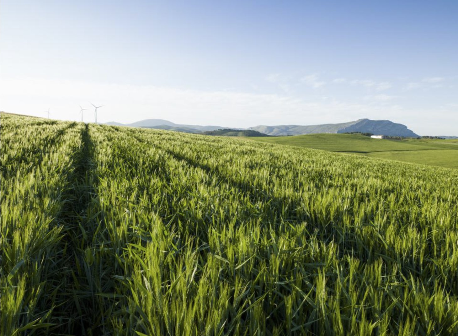 Agricultural landscape in Ardales, Malaga, Spain