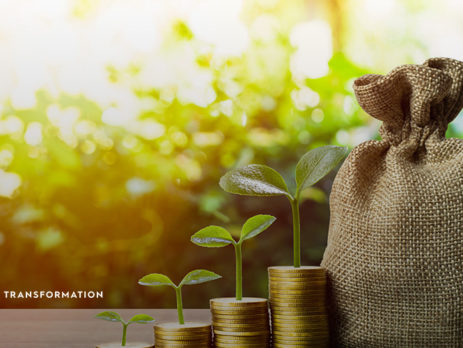 bag of money next to plants growing from coin stacks
