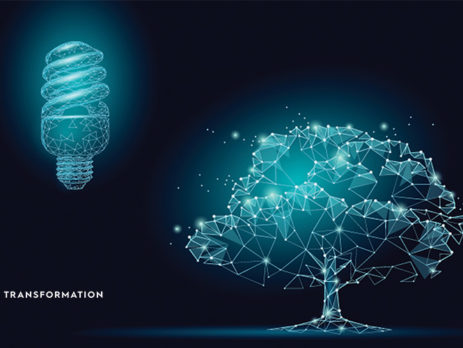digital tree and lightbulb, agrivoltaics concept