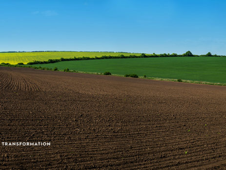 collective farming