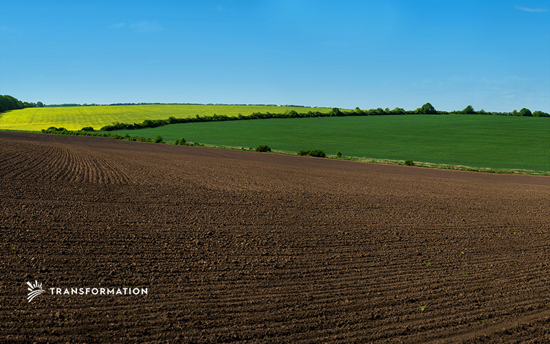 What Is a Collective Farm, and How Does it Help Sustainable Agriculture?
