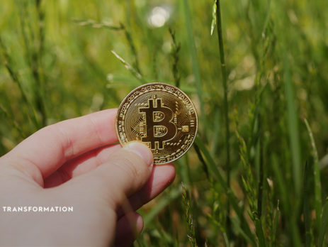 bitcoin in a field