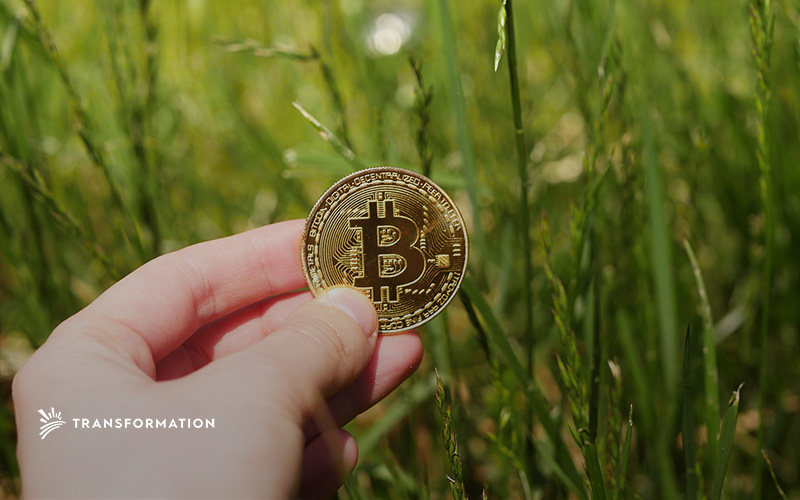 bitcoin in a field
