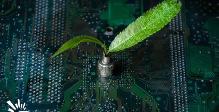 Green Leaf on Microchip