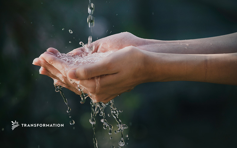 hands holding water