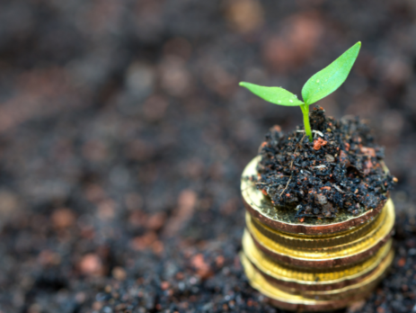Coins with sprout