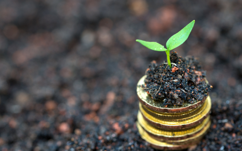 Coins with sprout