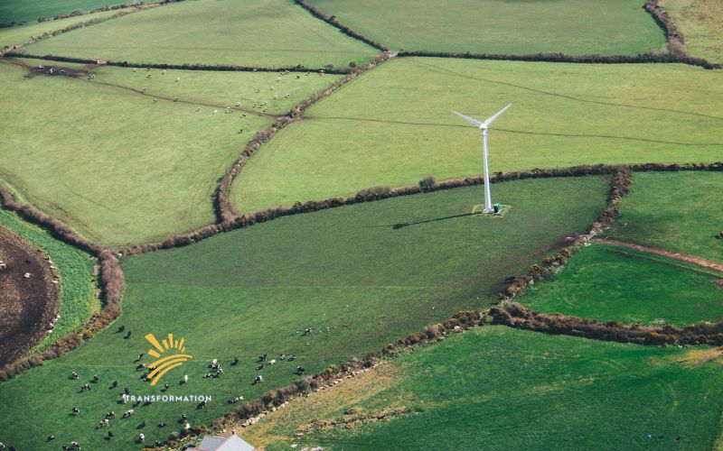 windmill in the field