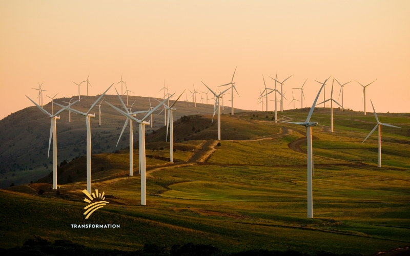 windmills