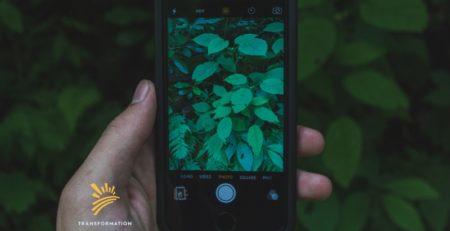 phone with leaves