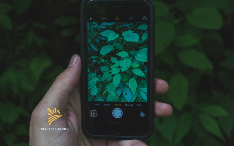 phone with leaves