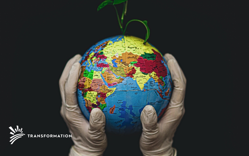 globe with leaves above