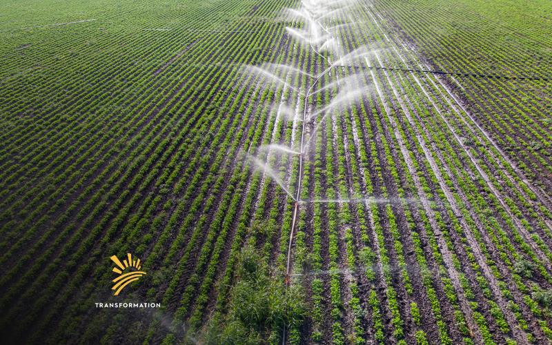 water irrigation systems