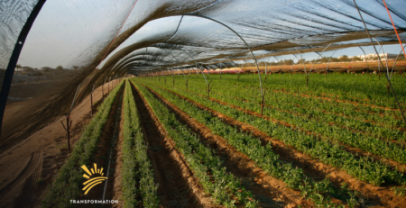 sustainable agriculture methods