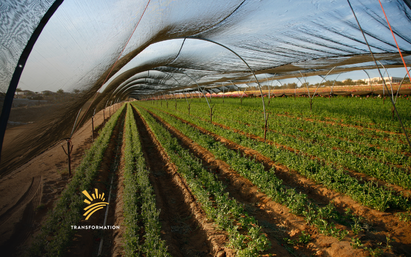 sustainable agriculture methods